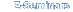 E-Seminars