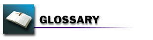 Glossary